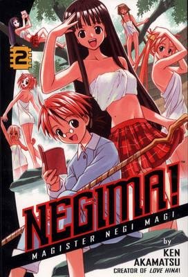 Cover of Negima! Magister Negi Magi Vol 2
