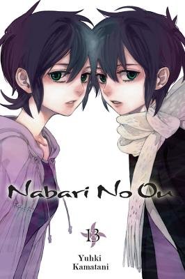 Cover of Nabari No Ou Vol 13
