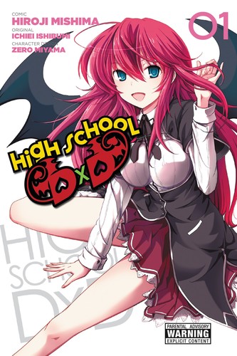 Cover of High School DxD Vol. 1