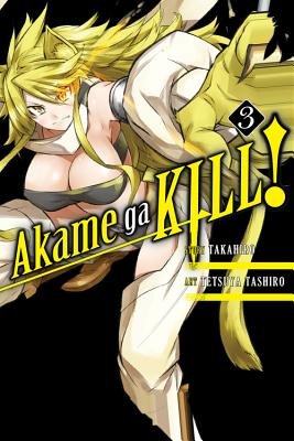 Cover of Akame ga KILL! Vol 3