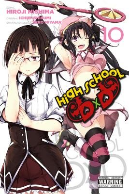Cover of High School DxD Vol 10