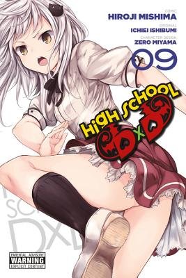 Cover of High School DxD Vol 9