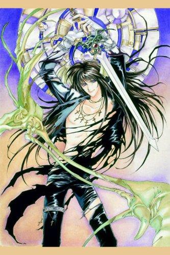 Cover of Seimaden Vol 8