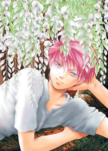 Cover of Young Magician Vol 8