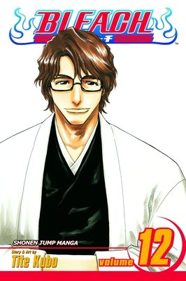Cover of Bleach Vol 12