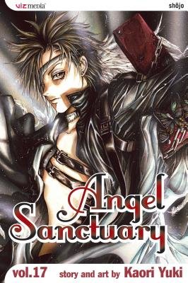 Cover of Angel Sanctuary Vol 17