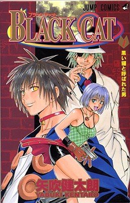 Cover of Black Cat Vol 2