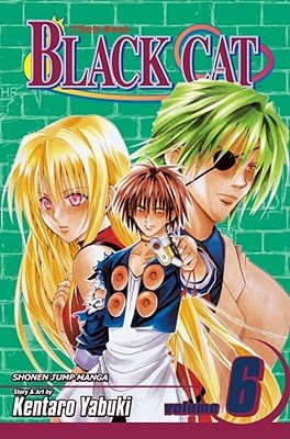 Cover of Black Cat Vol 6
