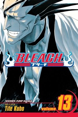 Cover of Bleach Vol 13