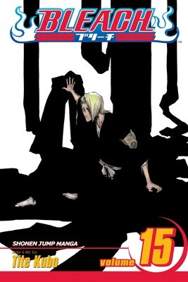 Cover of Bleach Vol 15