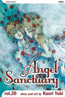 Cover of Angel Sanctuary Vol 20