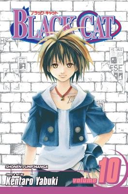 Cover of Black Cat Vol 10