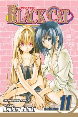 Cover of Black Cat Vol 11