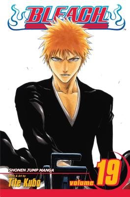 Cover of Bleach Vol 19