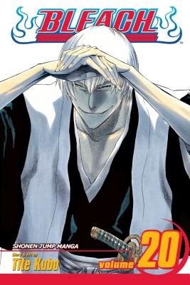 Cover of Bleach Vol 20