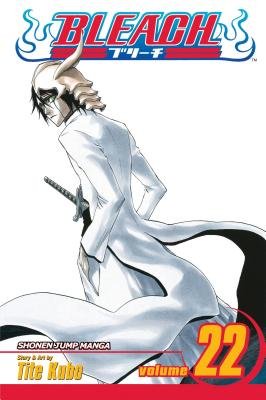 Cover of Bleach Vol 22