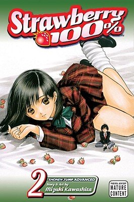 Cover of Strawberry 100% Vol 2