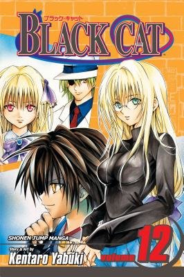 Cover of Black Cat Vol 12