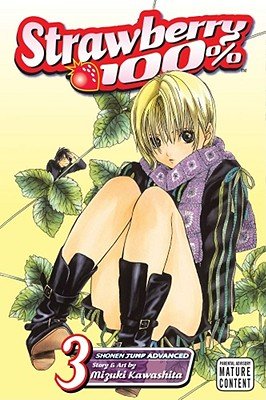 Cover of Strawberry 100% Vol 3