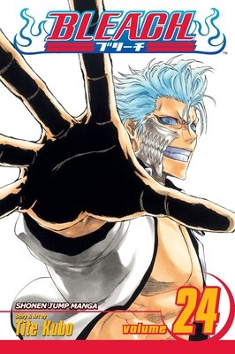 Cover of Bleach Vol 24