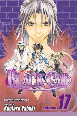 Cover of Black Cat Vol 17