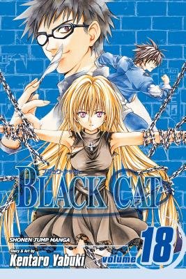 Cover of Black Cat Vol 18