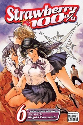 Cover of Strawberry 100% Vol 6