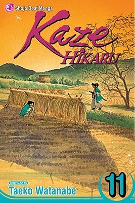 Cover of Kaze Hikaru Vol 11