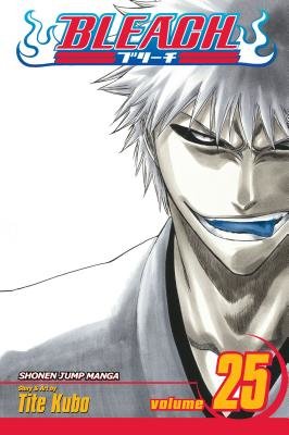 Cover of Bleach Vol 25