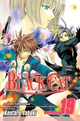 Cover of Black Cat Vol 19
