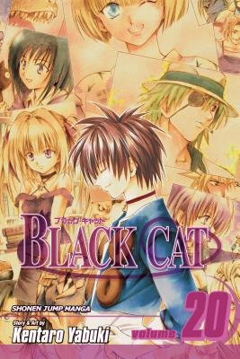 Cover of Black Cat Vol 20