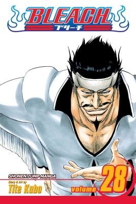 Cover of Bleach Vol 28