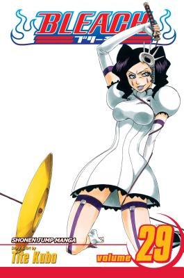 Cover of Bleach Vol 29