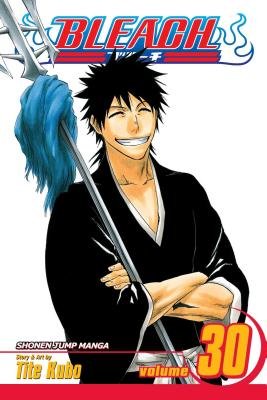 Cover of Bleach Vol 30