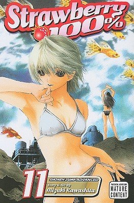 Cover of Strawberry 100% Vol 11