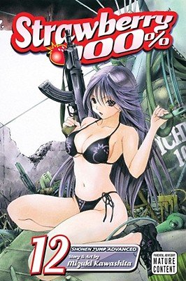 Cover of Strawberry 100% Vol 12