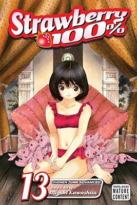 Cover of Strawberry 100% Vol 13