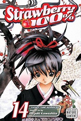 Cover of Strawberry 100% Vol. 14