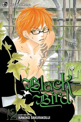 Cover of Black Bird Vol 12