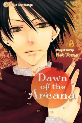 Cover of Dawn of the Arcana Vol 3