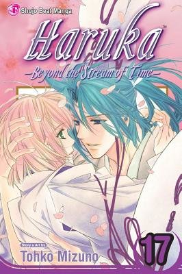 Cover of Haruka: Beyond the Stream of Time Vol. 17