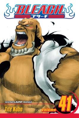 Cover of Bleach Vol 41
