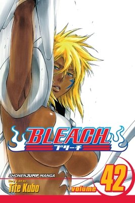 Cover of Bleach Vol 42