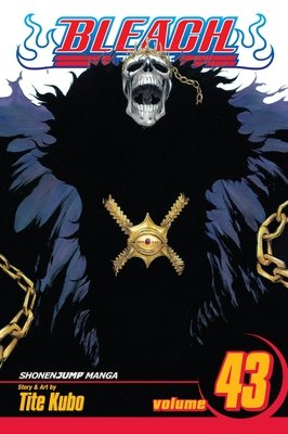 Cover of Bleach Vol 43