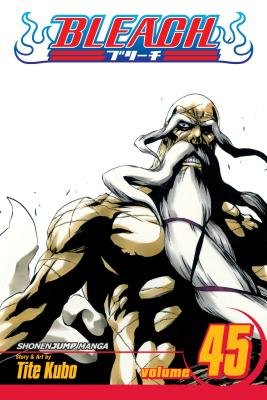Cover of Bleach Vol 45