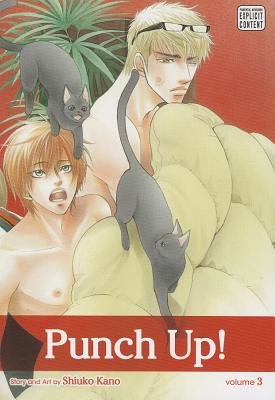 Cover of Punch Up! Vol 3