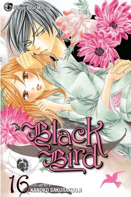 Cover of Black Bird Vol 16