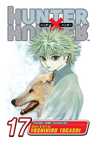 Cover of Hunter × Hunter Vol. 17