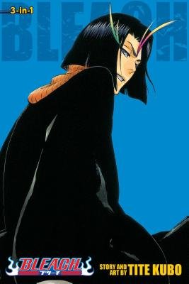 Cover of Bleach 3-in-1 Edition 13