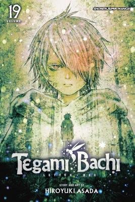 Cover of Tegami Bachi: Letter Bee Vol 19
